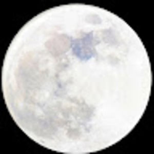 Meet your Posher, Allisson